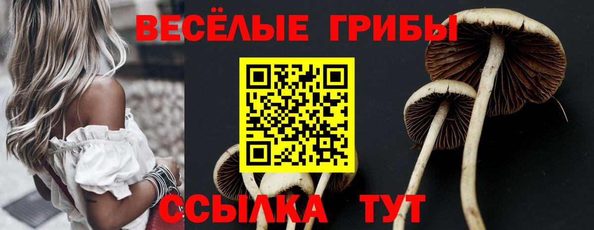 Котельники  Псилоцибиновые грибы ЛСД  Вход с VPN 