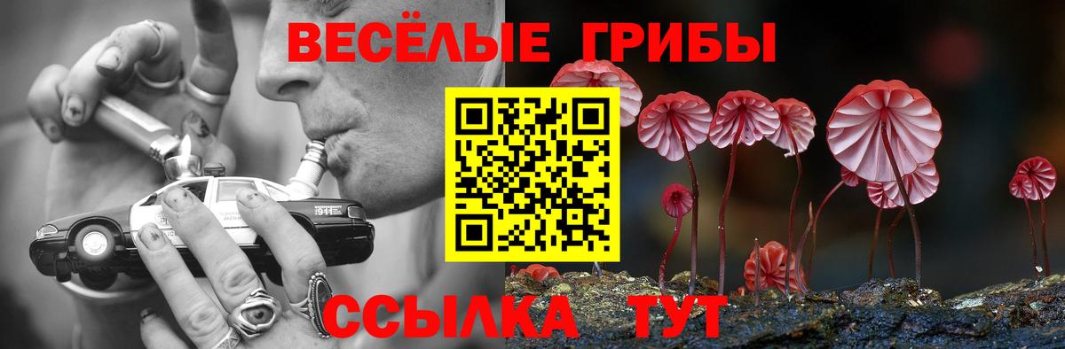 Псилоцибиновые грибы Cubensis Котельники